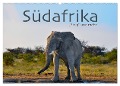 Südafrika - Big 5 und mehr (Wandkalender 2024 DIN A2 quer), CALVENDO Monatskalender - Robert Styppa