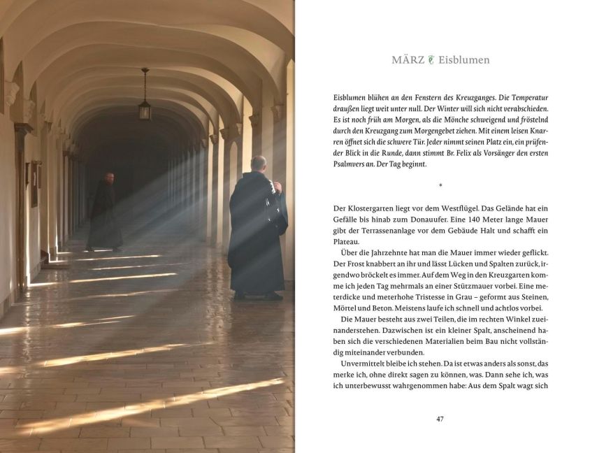 InsideView 8