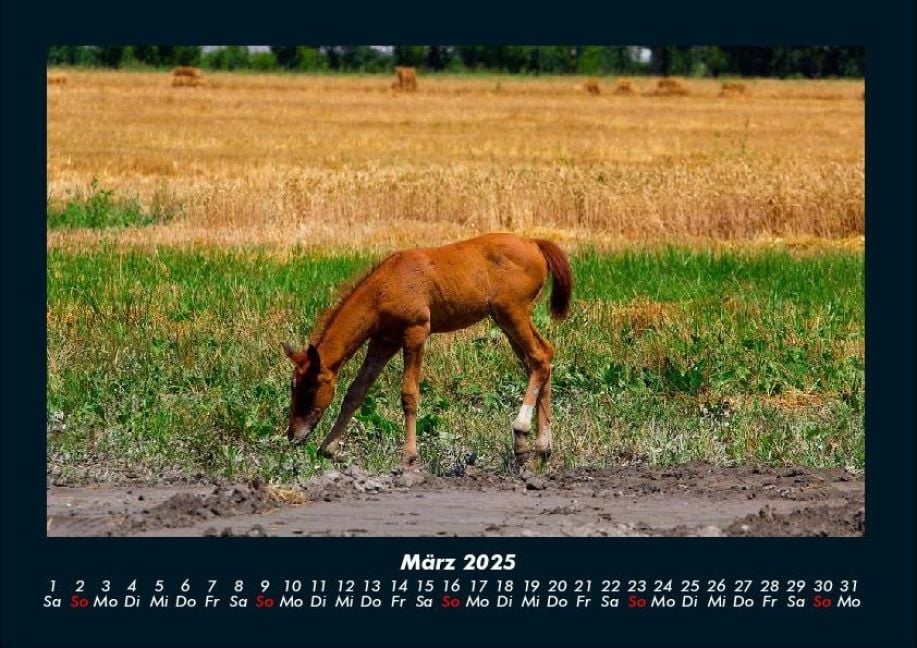InsideView 7