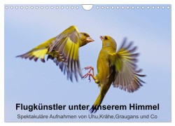 Cover-Bild zum Titel 'Flugkünstler unter unserem Himmel - Spektakuläre Aufnahmen von Uhu,Krähe,Graugans und Co (Wandkalender 2026 DIN A4 quer), CALVENDO Monatskalender' von 'Lutz Klapp'