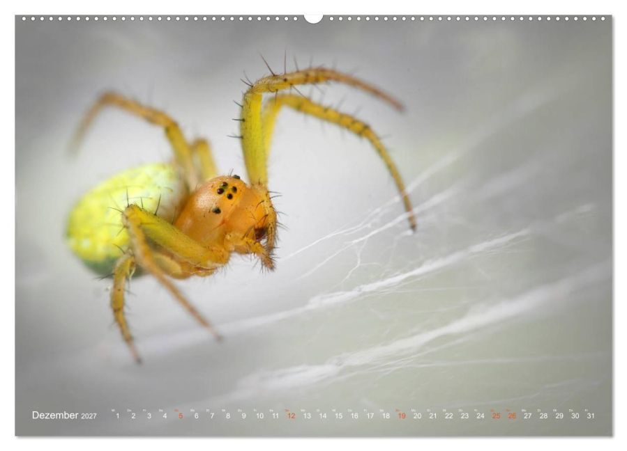 InsideView 4