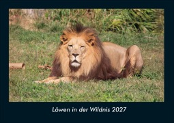 Cover-Bild zum Titel 'Löwen in der Wildnis 2027 Fotokalender DIN A4' von 'Tobias Schmitt, Kevin Heber'