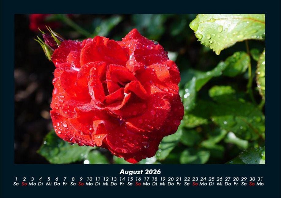 InsideView 12