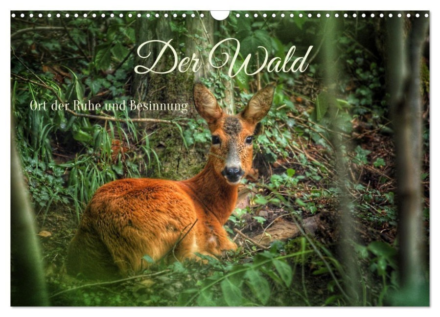 Der Wald - Ort der Ruhe und Besinnung (Wandkalender 2027 DIN A3 quer), CALVENDO Monatskalender - Christine Wirges