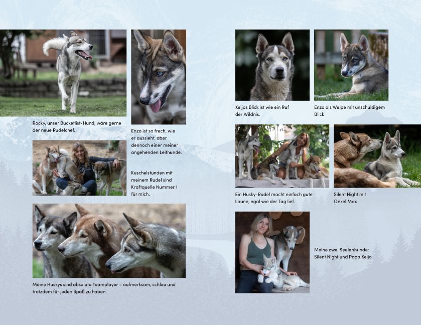 InsideView 12