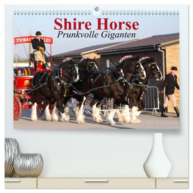 Shire Horse ¿ Prunkvolle Giganten (hochwertiger Premium Wandkalender 2026 DIN A2 quer), Kunstdruck in Hochglanz - Elisabeth Stanzer