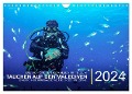 Die schönsten Korallenriffe zum Tauchen auf den Malediven (Wandkalender 2024 DIN A4 quer), CALVENDO Monatskalender - Christian Hubo - feel4nature