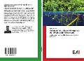 Cover-Bild zum Titel 'Valutazione su base eMergetica dei servizi degli ecosistemi' von 'Luca Coscieme'