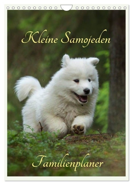 Kleine Samojeden (Wandkalender 2024 DIN A4 hoch), CALVENDO Monatskalender - Claudia Pelzer www. Pelzer-Photography. com