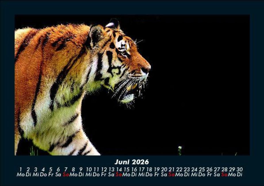 InsideView 10