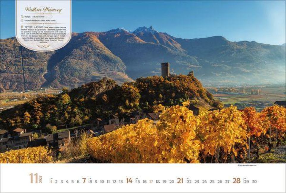 InsideView 11