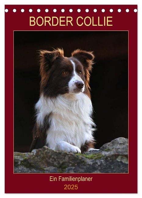 Border Collie - Ein Familienplaner (Tischkalender 2025 DIN A5 hoch), CALVENDO Monatskalender - Sigrid Starick