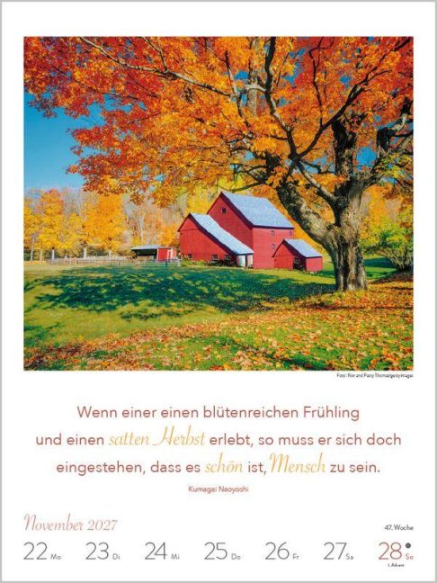 InsideView 13