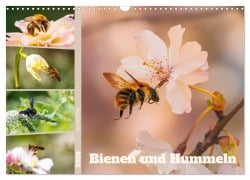 Cover-Bild zum Titel 'Bienen und Hummeln in Aktion (Wandkalender 2026 DIN A3 quer), CALVENDO Monatskalender' von 'Christoph Maas'