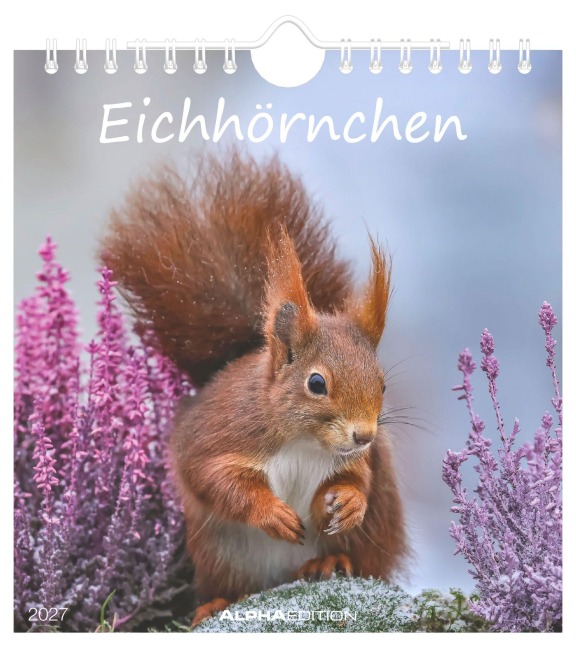 Eichhörnchen 2027 - 