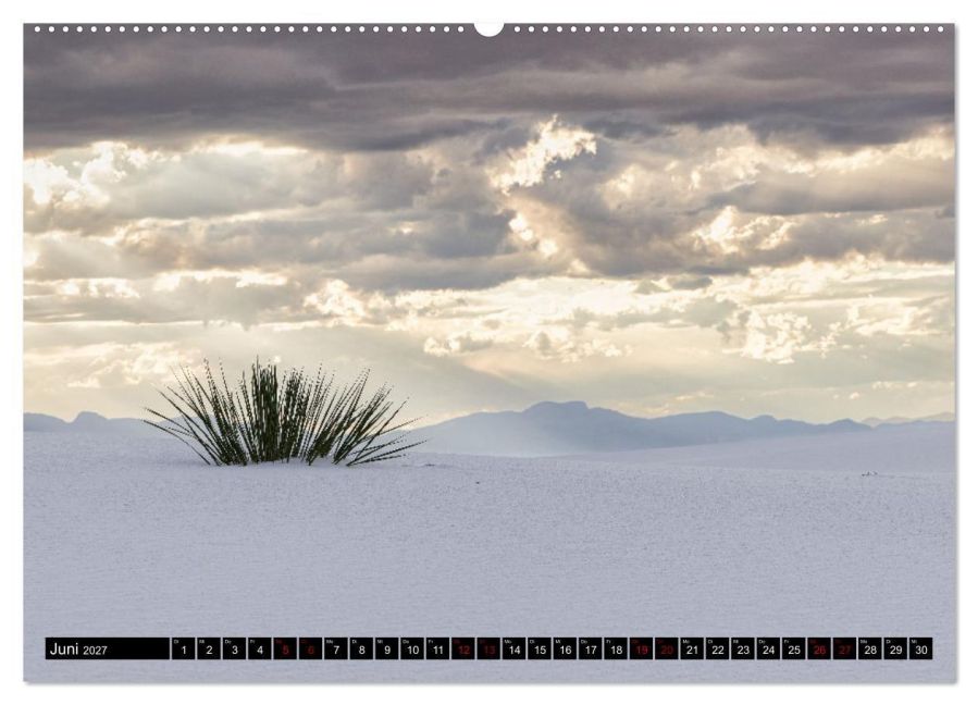 InsideView 11