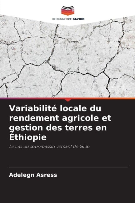 Variabilité locale du rendement agricole et gestion des terres en Éthiopie - Adelegn Asress