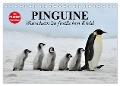 Pinguine - Watscheln im festlichen Kleid (Tischkalender 2025 DIN A5 quer), CALVENDO Monatskalender - Elisabeth Stanzer