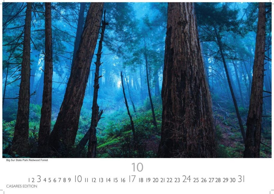 InsideView 10