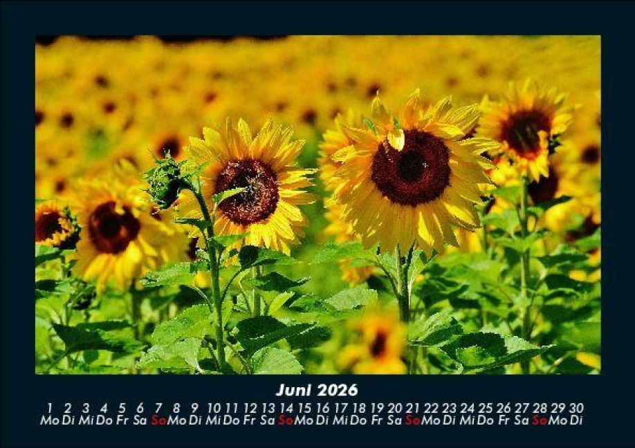 InsideView 10