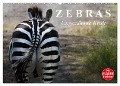 Zebras - Ungezähmte Kraft (Wandkalender 2024 DIN A2 quer), CALVENDO Monatskalender - Elisabeth Stanzer