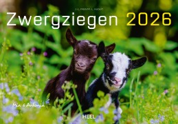 Cover-Bild zum Titel 'Kalender Zwergziegen 2026' von 'J. -L. Klein, M. -L. Hubert'