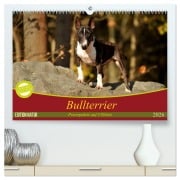 Bullterrier, Powerpakete auf 4 Pfoten (hochwertiger Premium Wandkalender 2026 DIN A2 quer), Kunstdruck in Hochglanz - Yvonne Janetzek
