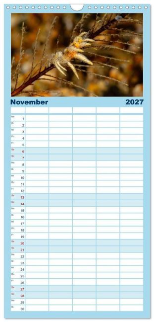 InsideView 2