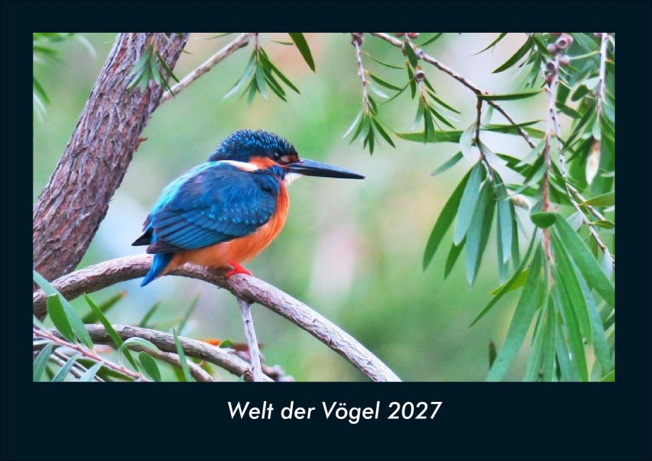 Welt der Vögel 2027 Fotokalender DIN A4 - Tobias Schmitt, Kevin Heber