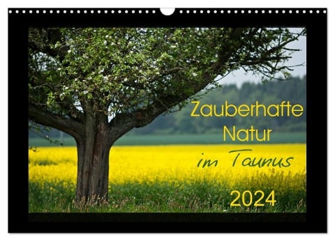Zauberhafte Natur im Taunus (Wandkalender 2024 DIN A3 quer), CALVENDO Monatskalender - Petra Schiller