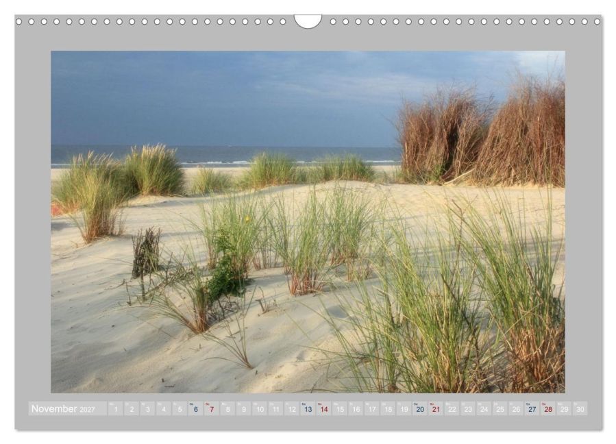 InsideView 3
