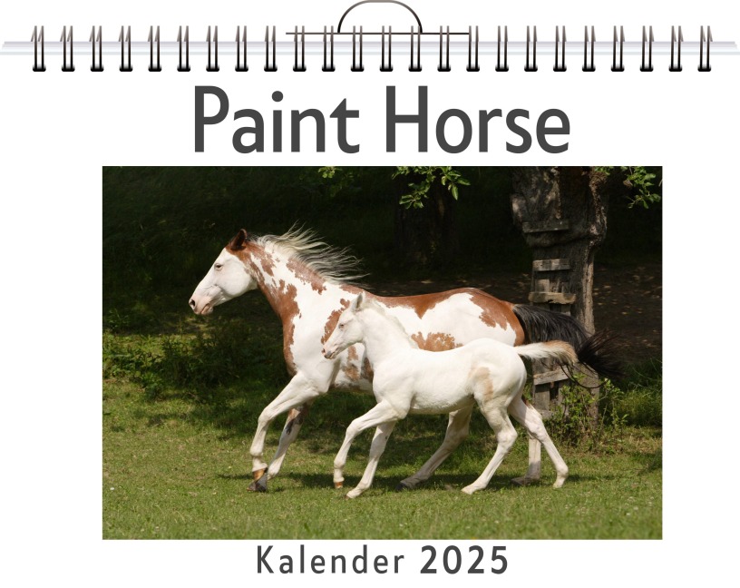 Paint Horse - Matteo Kaiser