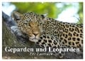 Die Lautlosen. Geparden und Leoparden (Wandkalender 2025 DIN A2 quer), CALVENDO Monatskalender - Elisabeth Stanzer