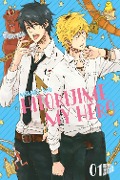 Cover-Bild zum Titel 'Hitorijime My Hero 1' von 'Memeco Arii'