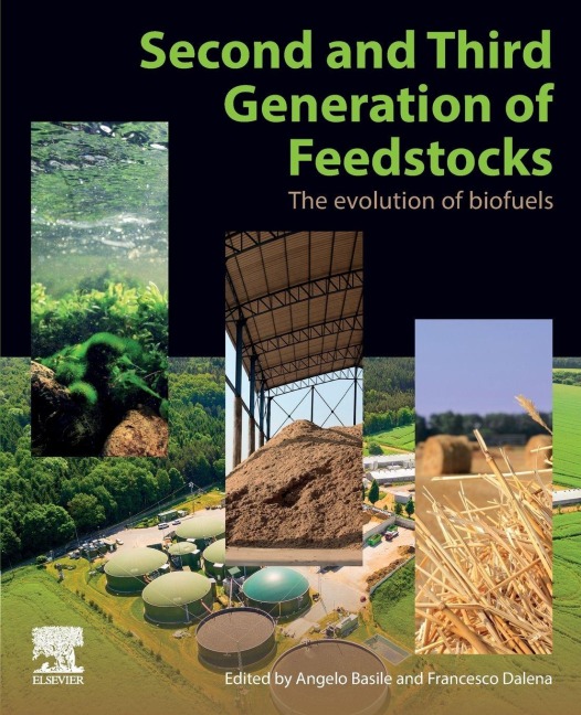 Second and Third Generation of Feedstocks - 