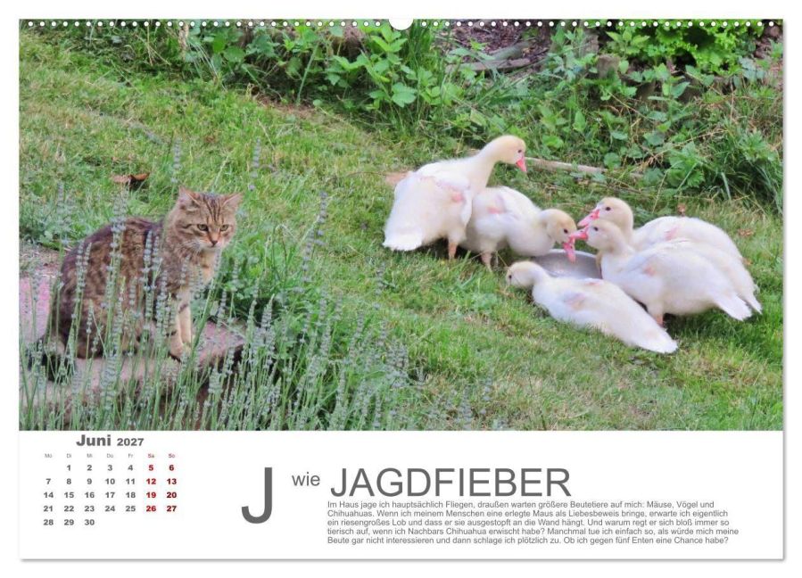 InsideView 10