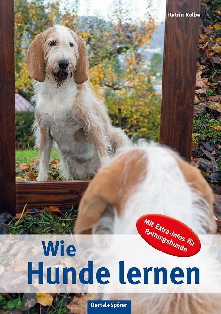 Wie Hunde lernen - Katrin Kolbe