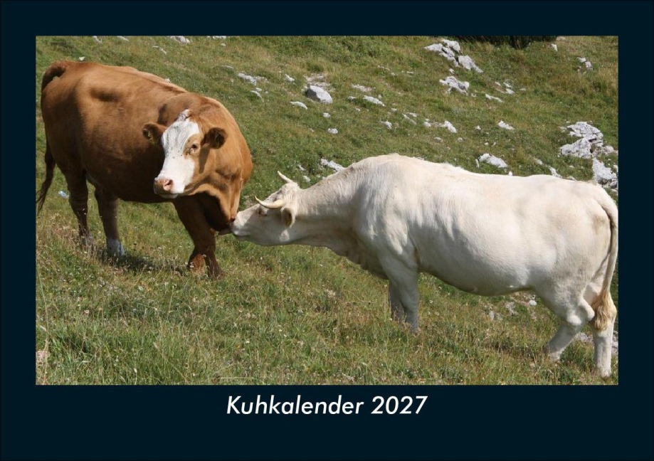 Kuhkalender 2027 Fotokalender DIN A5 - Tobias Schmitt, Kevin Heber