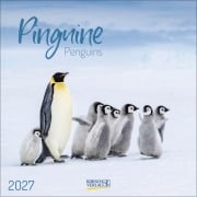 Cover-Bild zum Titel 'Pinguine 2027' von ''