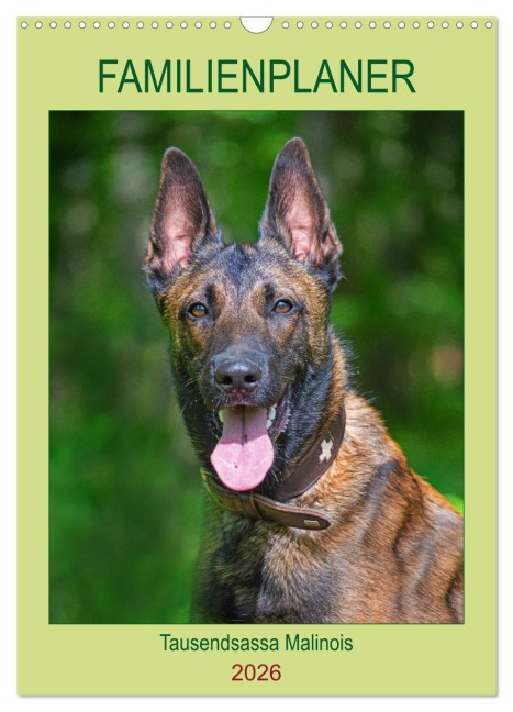 Familienplaner Tausendsassa Malinois (Wandkalender 2026 DIN A3 hoch), CALVENDO Monatskalender - Sigrid Starick