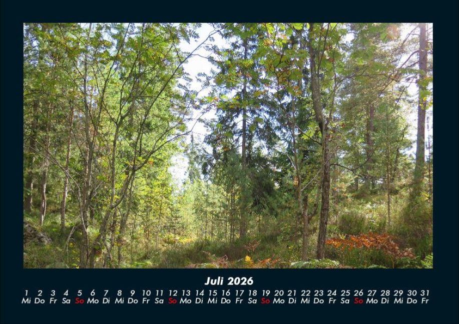 InsideView 11