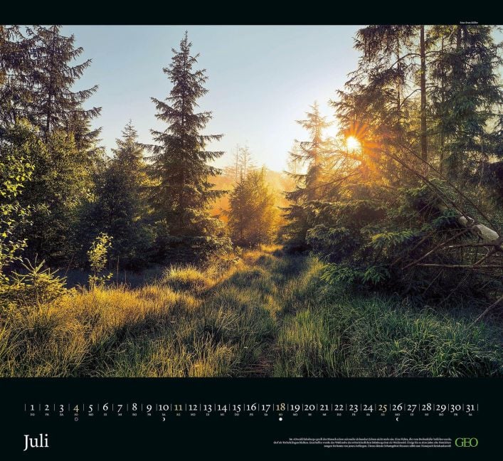 InsideView 4
