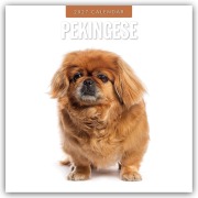 Cover-Bild zum Titel 'Pekingese - Pekinese - Peking Palasthund 2027 - 16-Monatskalender' von 'Robin Red'
