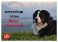 Augenblicke mit dem Berner Sennenhund (Tischkalender 2024 DIN A5 quer), CALVENDO Monatskalender - Hubert Hunscheidt