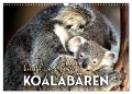 Knuffige Koalabären (Wandkalender 2024 DIN A3 quer), CALVENDO Monatskalender - Sf Sf
