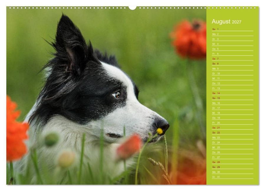 InsideView 13
