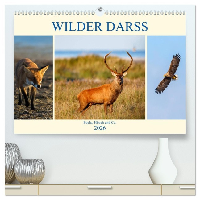 Wilder Darß - Fuchs, Hirsch und Co. 2026 (hochwertiger Premium Wandkalender 2026 DIN A2 quer), Kunstdruck in Hochglanz - Daniela Beyer (Moqui)