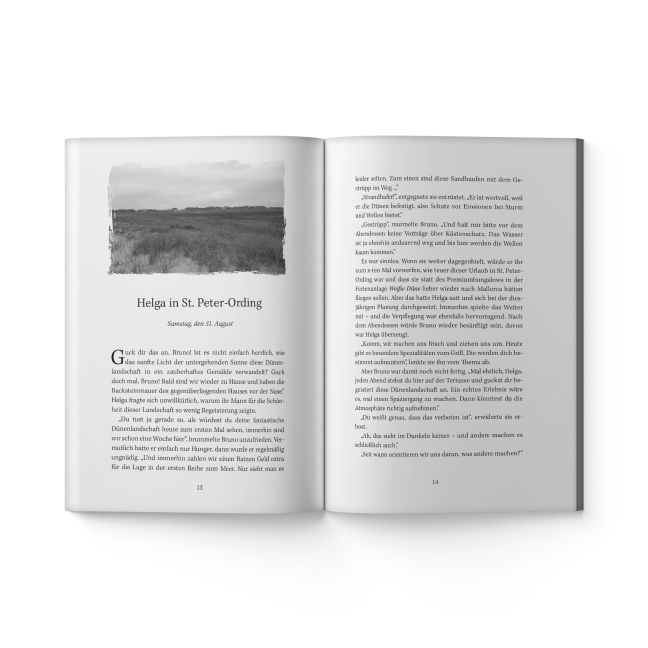 InsideView 4