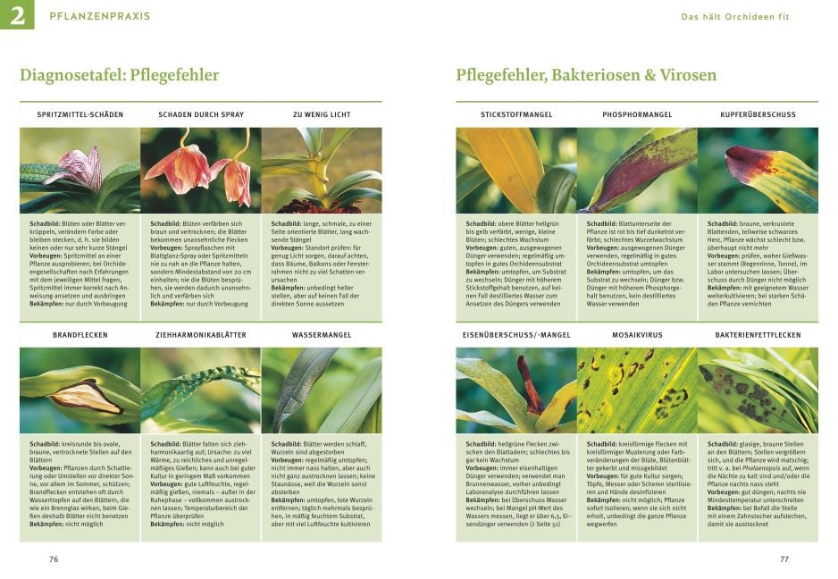InsideView 5