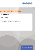 Cover-Bild zum Titel 'Im Anflug' von 'A. Schneider'